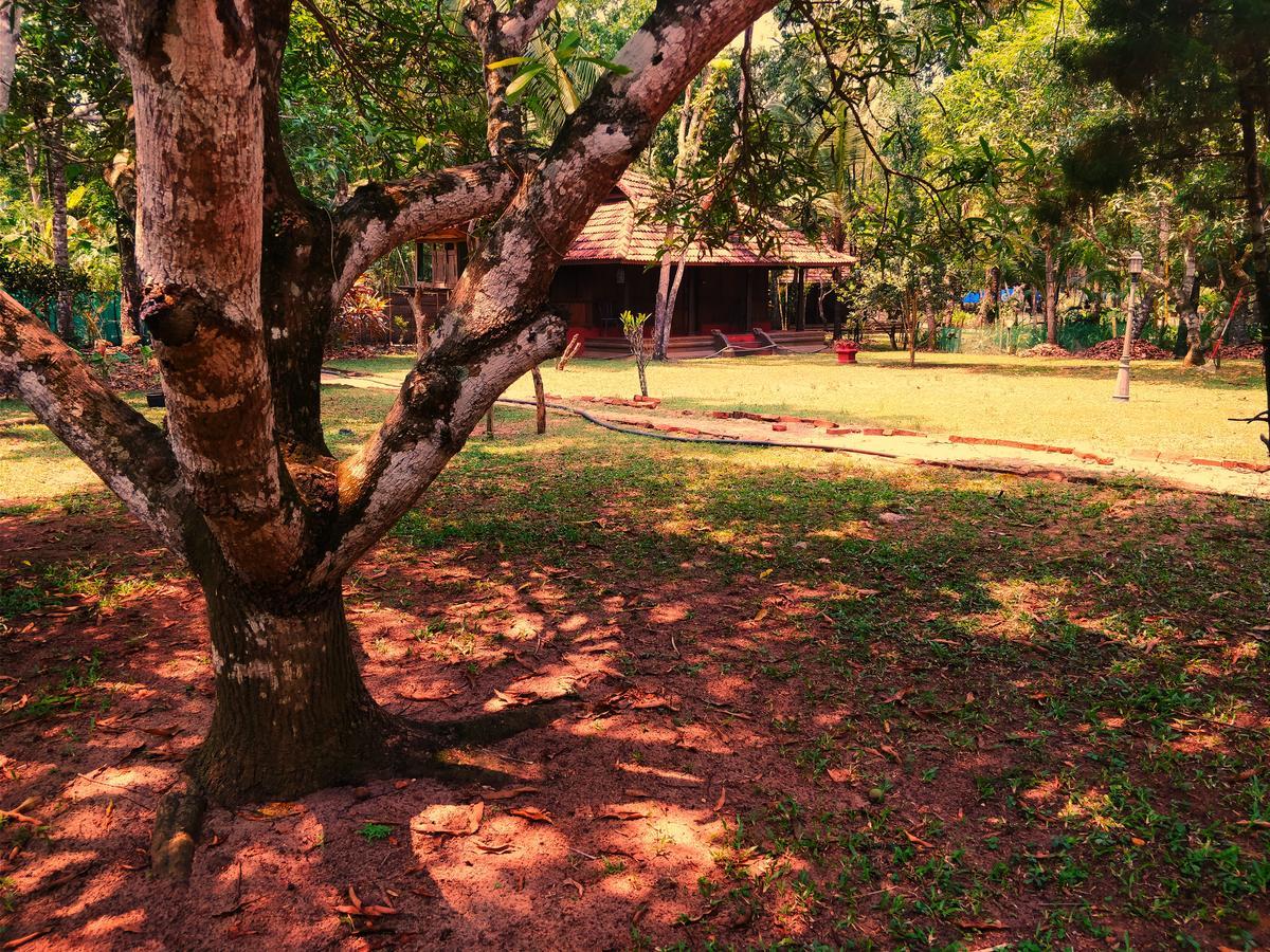 Palathra Heritage Mararikulam Exterior photo