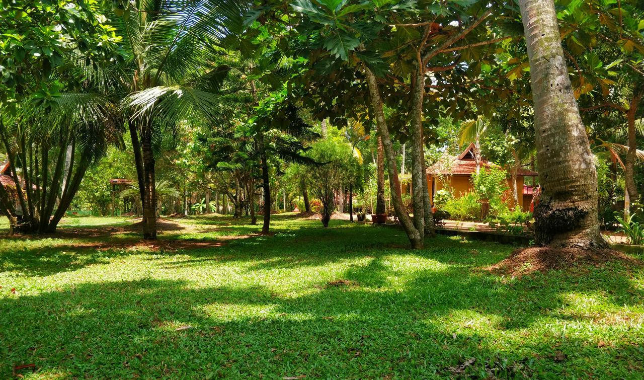 Palathra Heritage Mararikulam Exterior photo